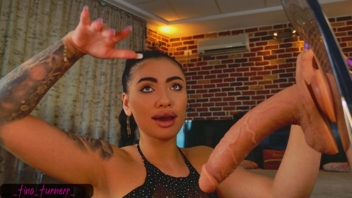 Tina-Turnerr