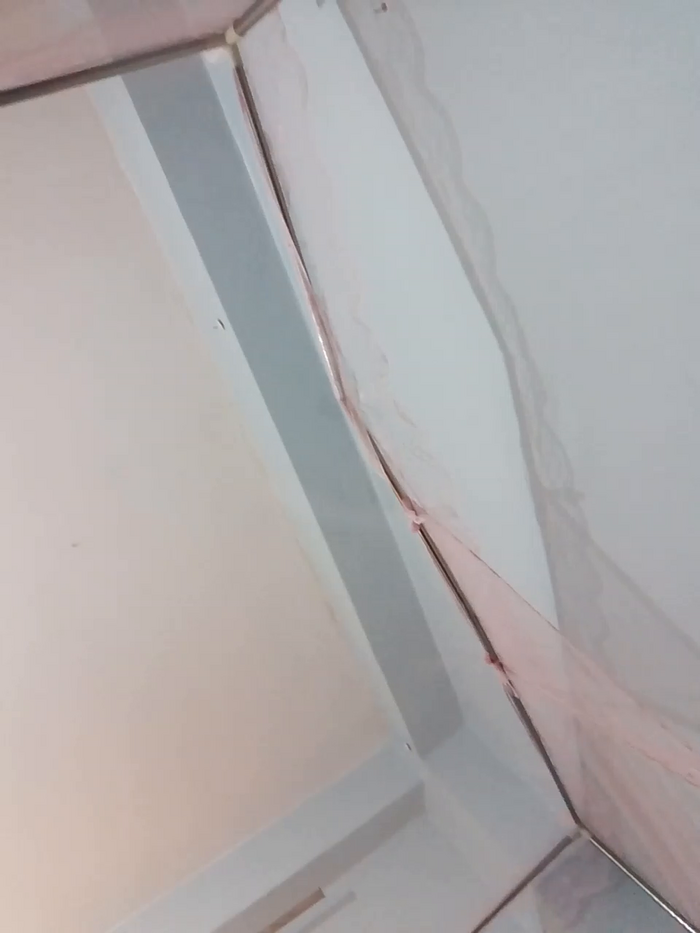 Hornypee295
