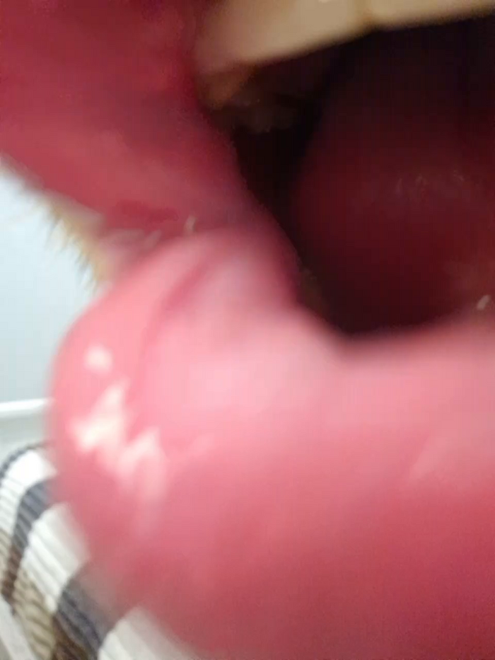 Chelsi16