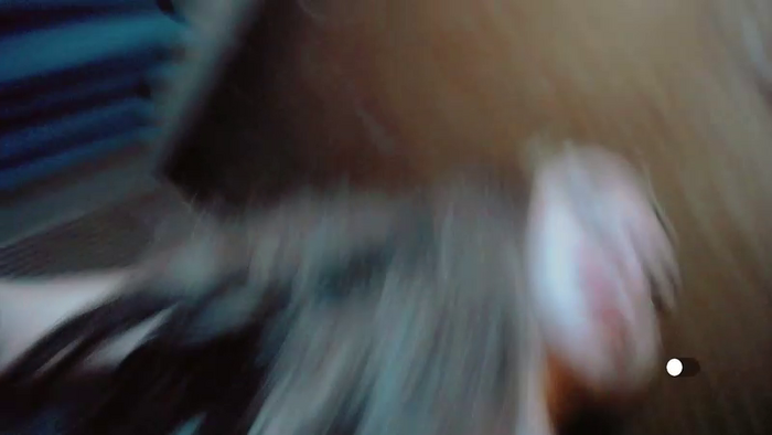 ayakusai