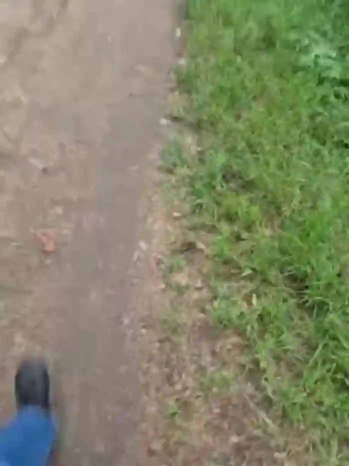 2025/06/18/bongacams-chelsi16-15-26-32