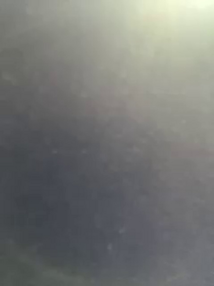 SallyeLeins
