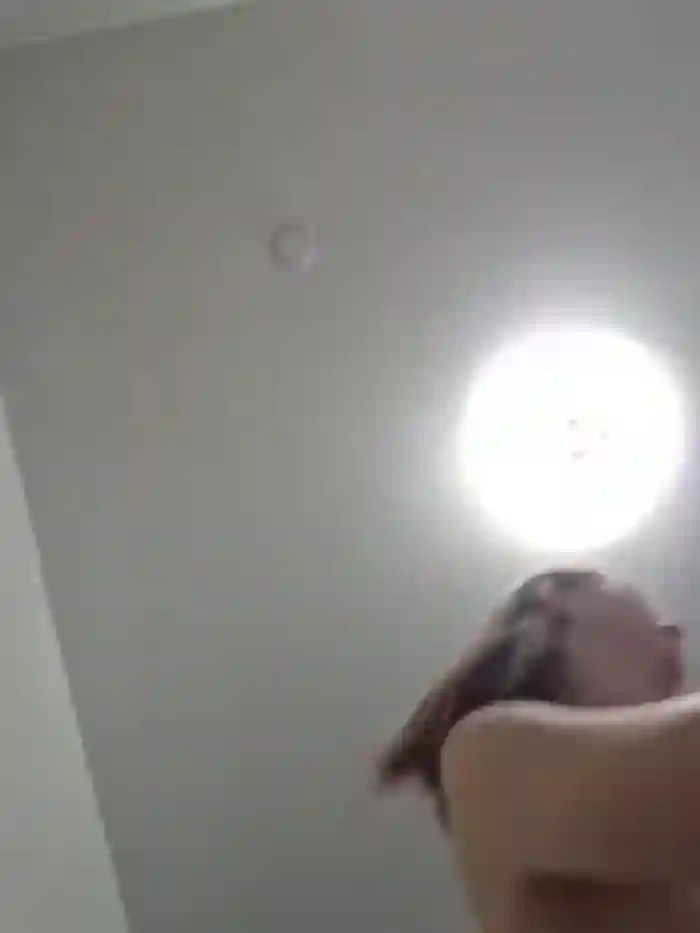 2025/07/28/bongacams-chelsi16-20-24-10