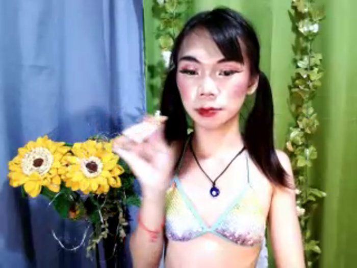 SKINNYasianSLUTs