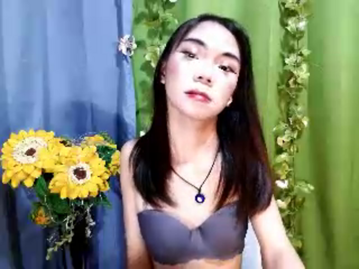 SKINNYasianSLUTs
