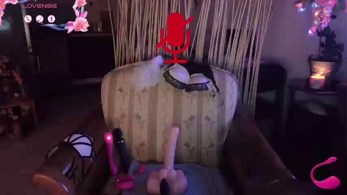 LISACAM2CAM
