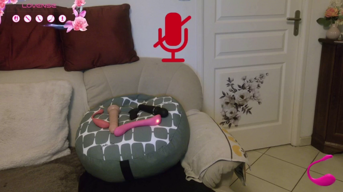 LISACAM2CAM