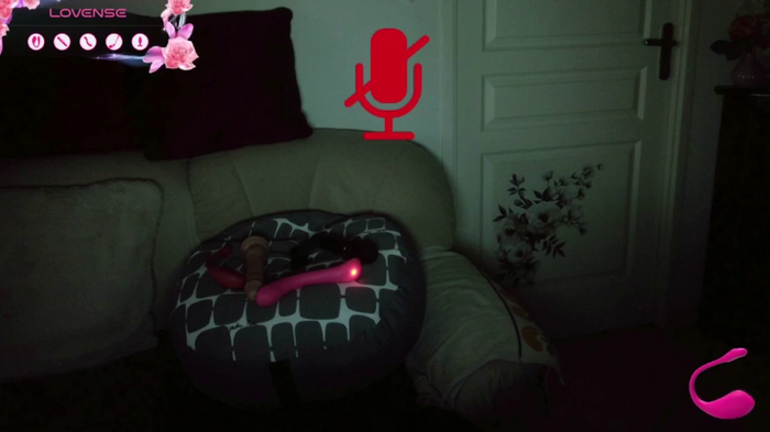 LISACAM2CAM