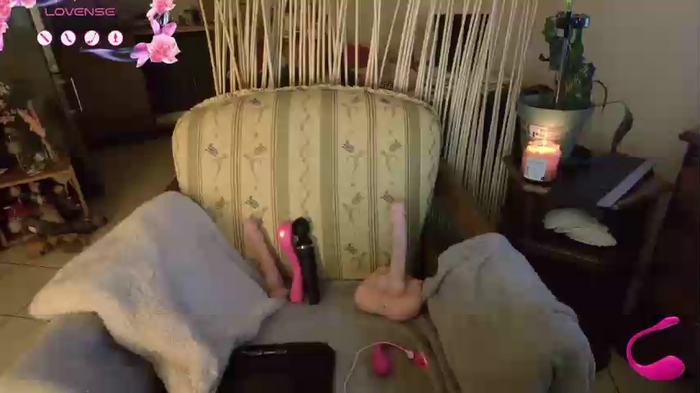 LISACAM2CAM