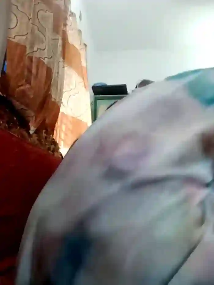 2025/10/30/bongacams-meherin-afra6-01-17-29