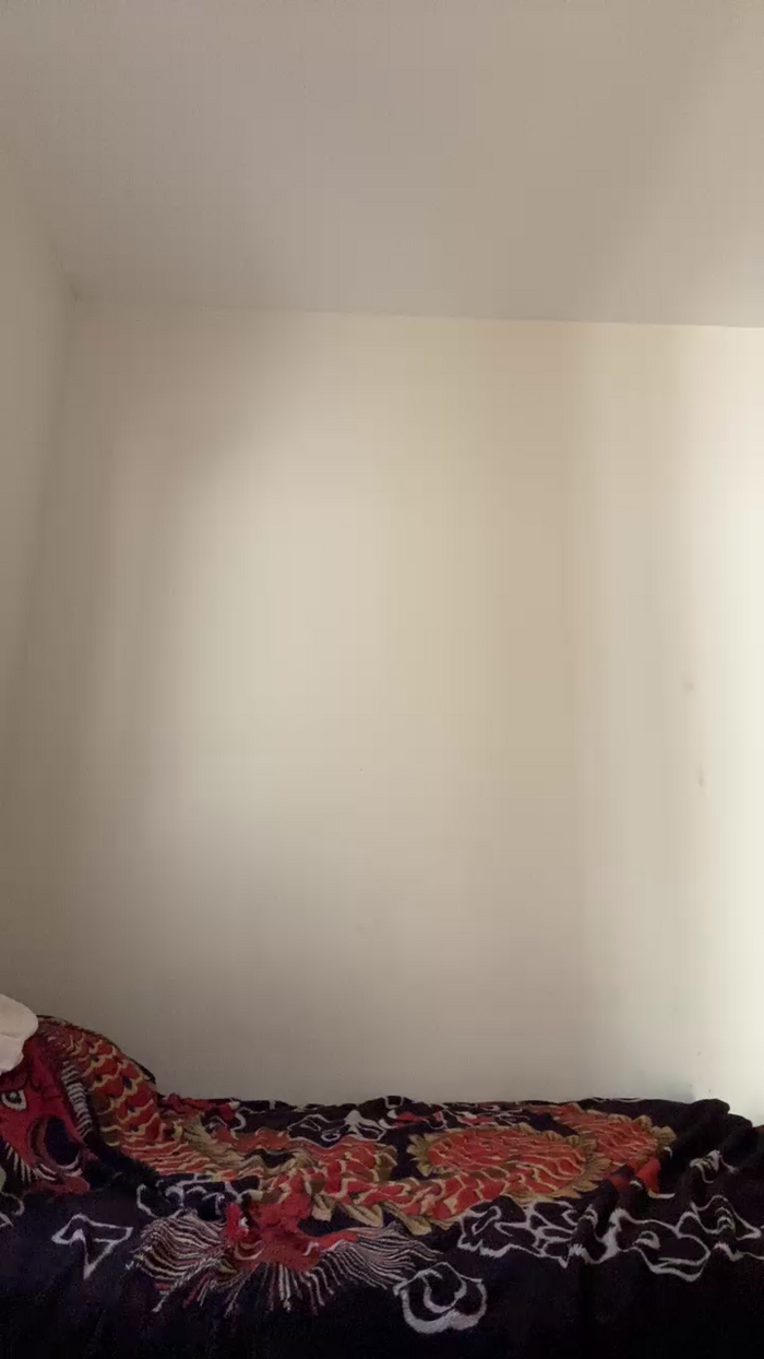 Lindinho20cm
