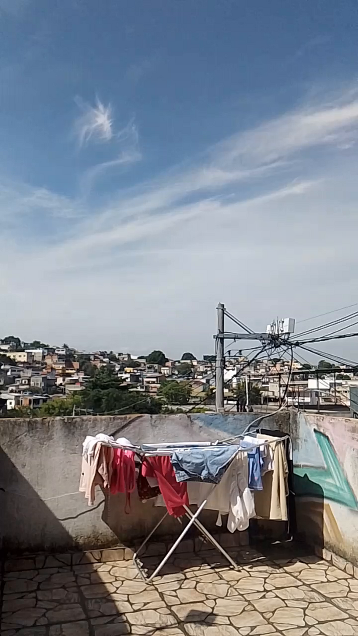 Meneguete