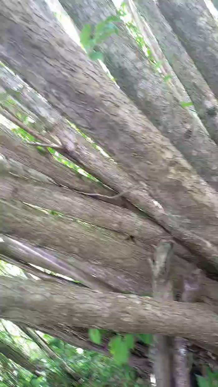 slipfun_sexy