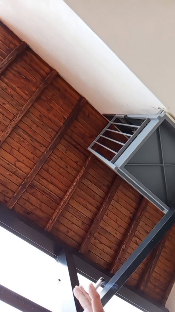 vogliadi6