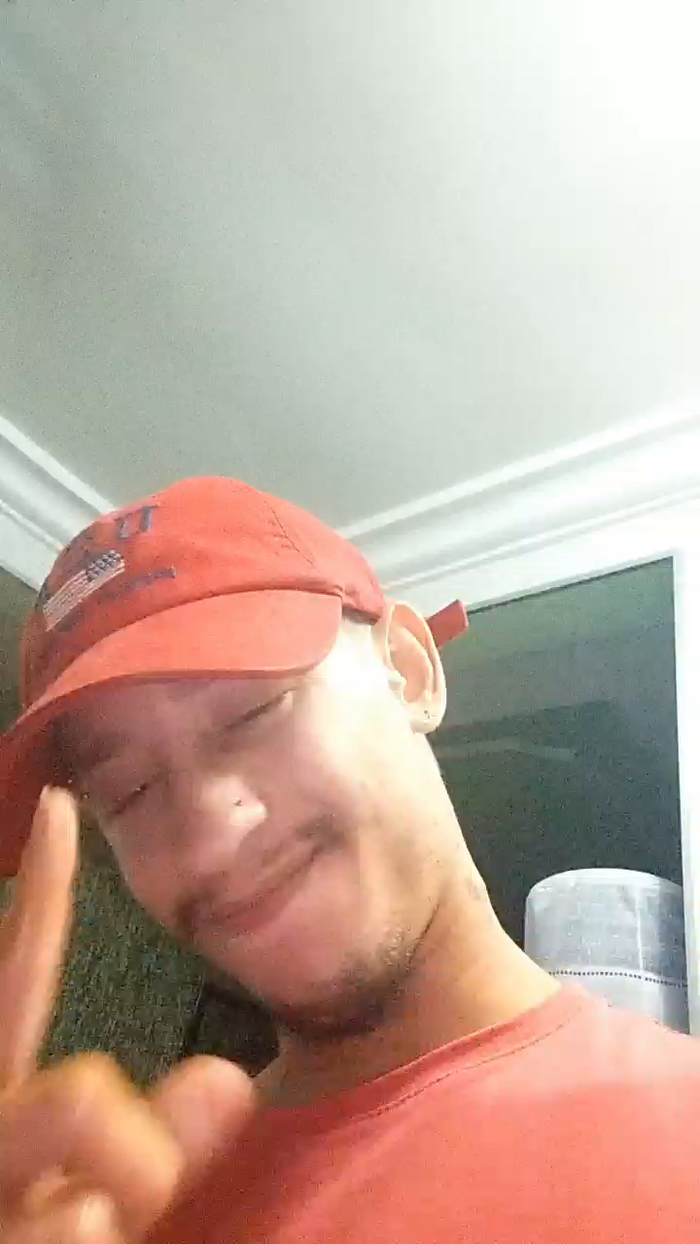 Paulophz00