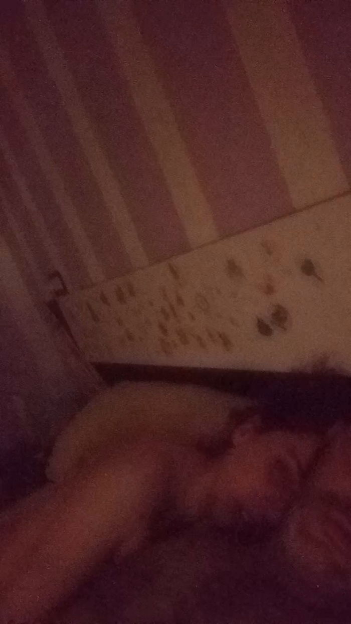 meli198