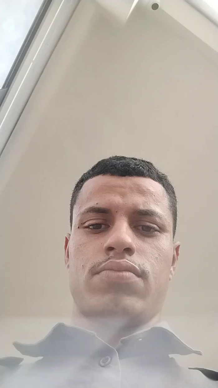 morcego01