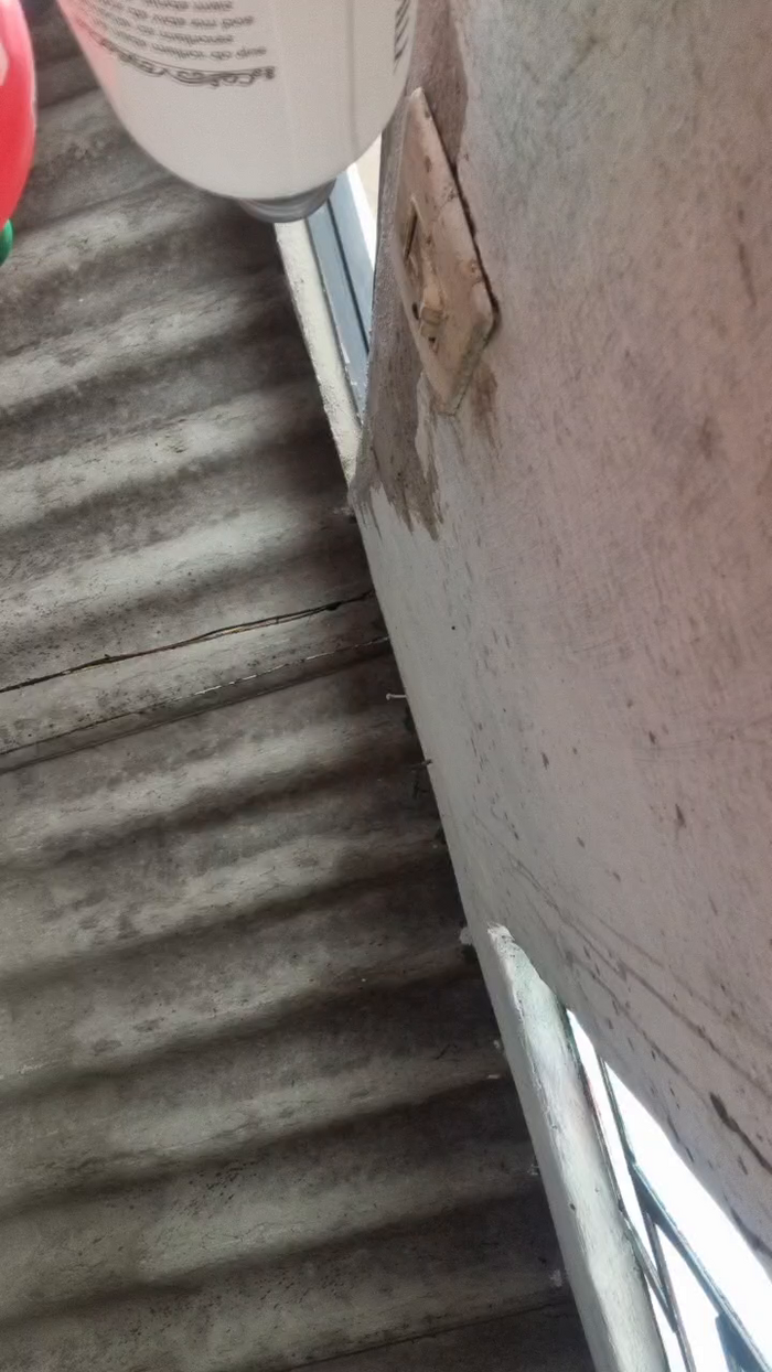 _Natysapeka