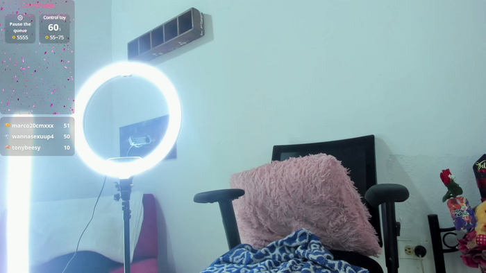 Sari__