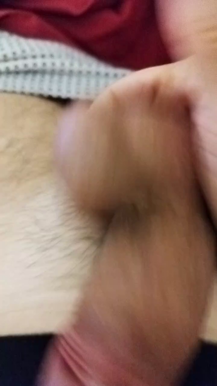 stefan519