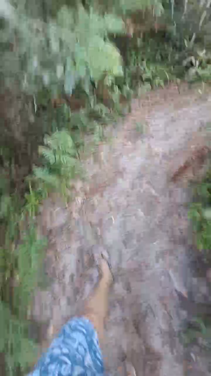 Cleberflo