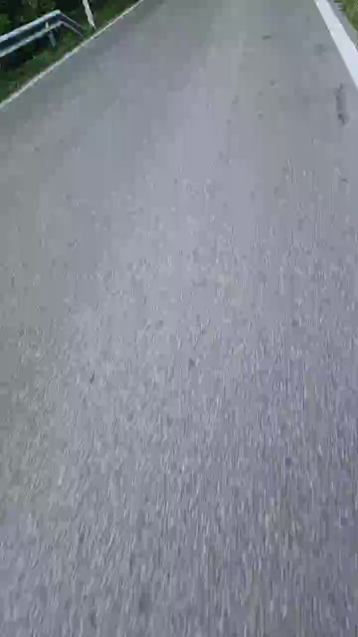 LaReginaNera
