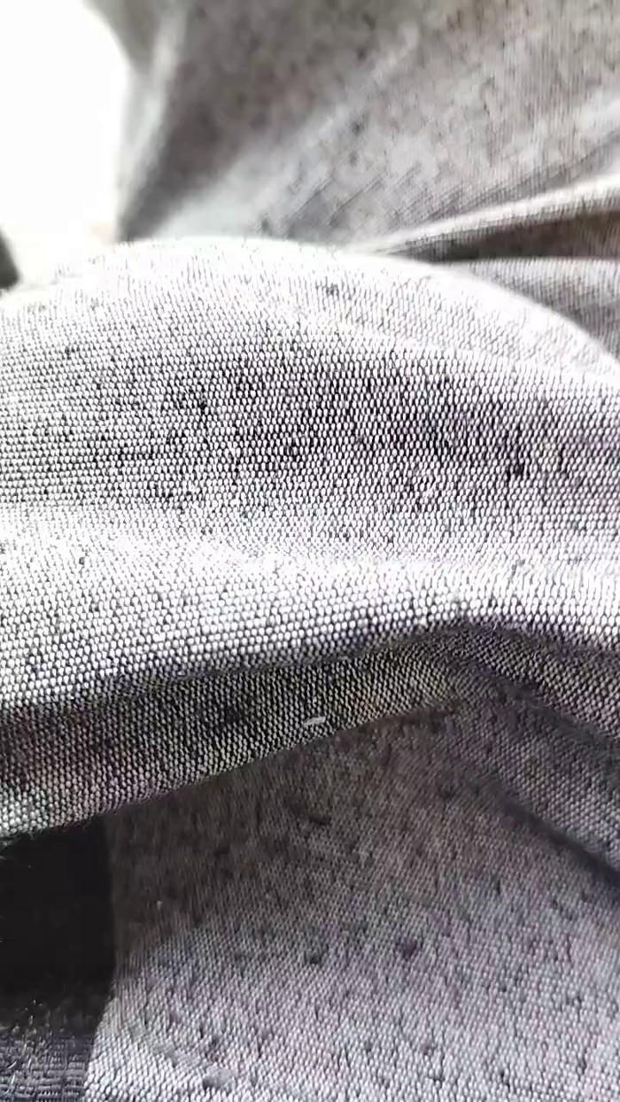 Gatonota