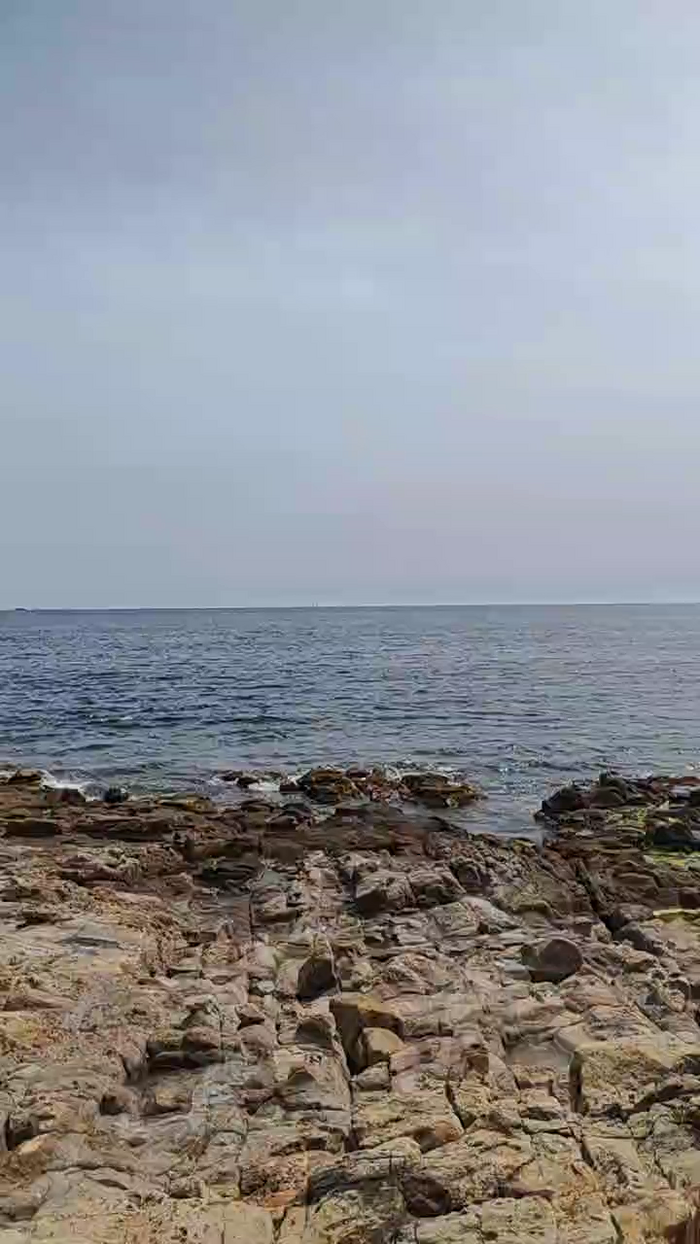 braqueuemar