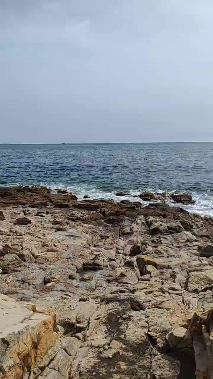 braqueuemar