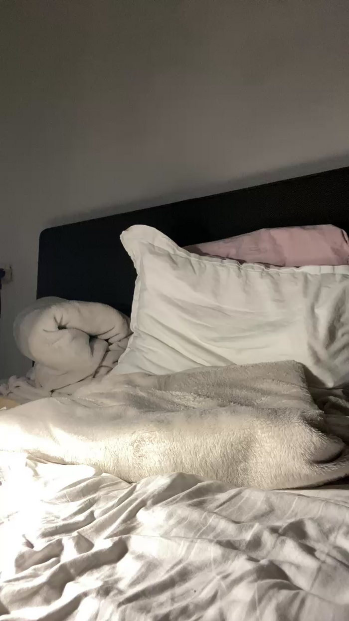 momomumu9996661