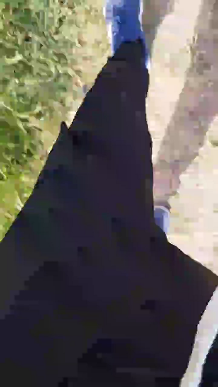 stefan519