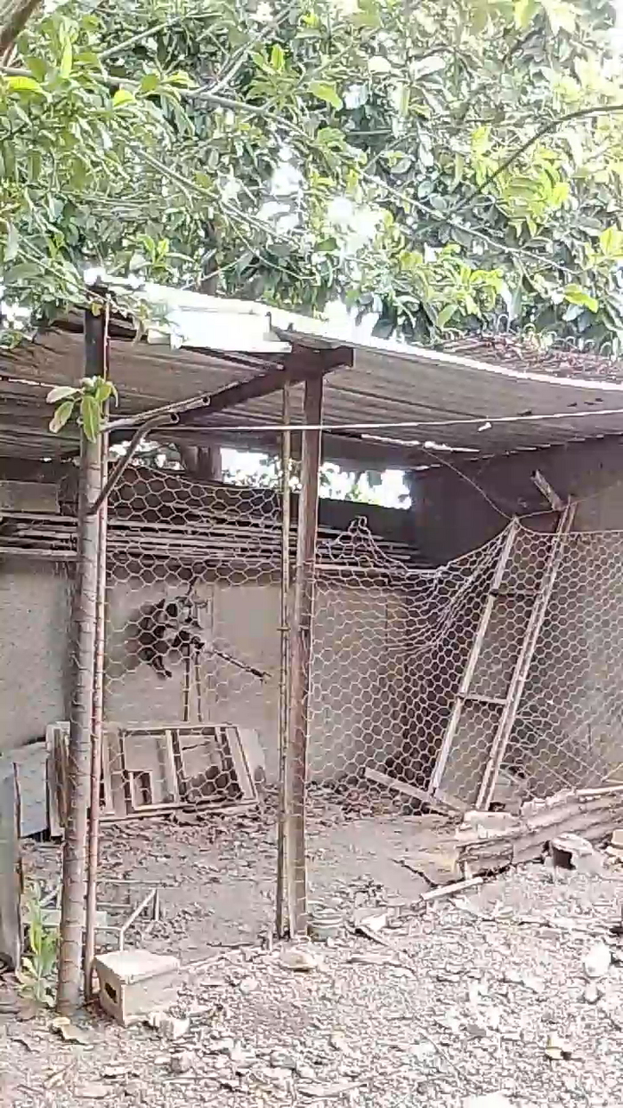 interhogar