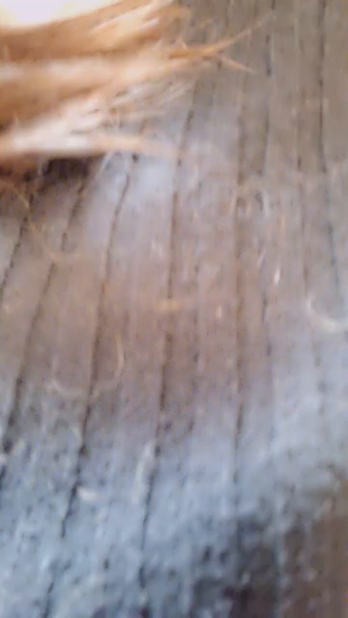 Roxannepiggy