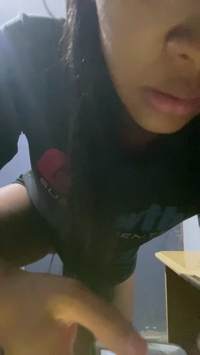 Palomajo