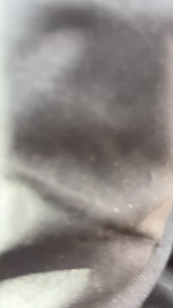 alexamh