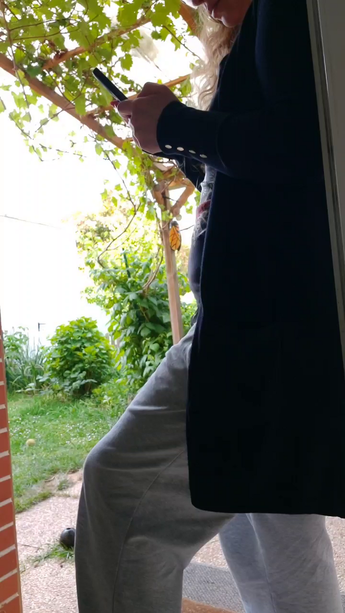tomsauwer