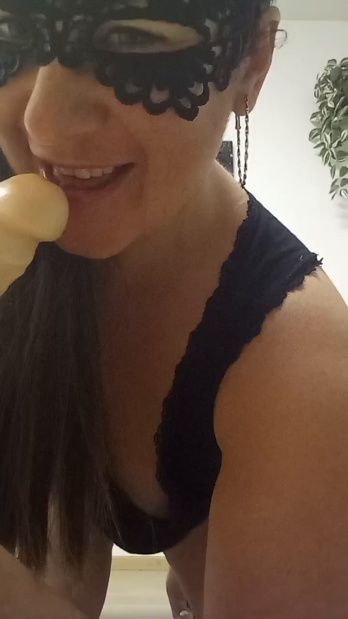 swiss_bunny