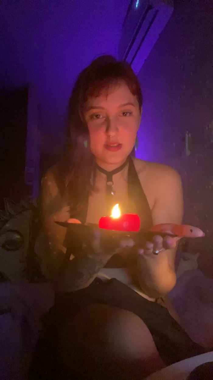 no7yourkitty