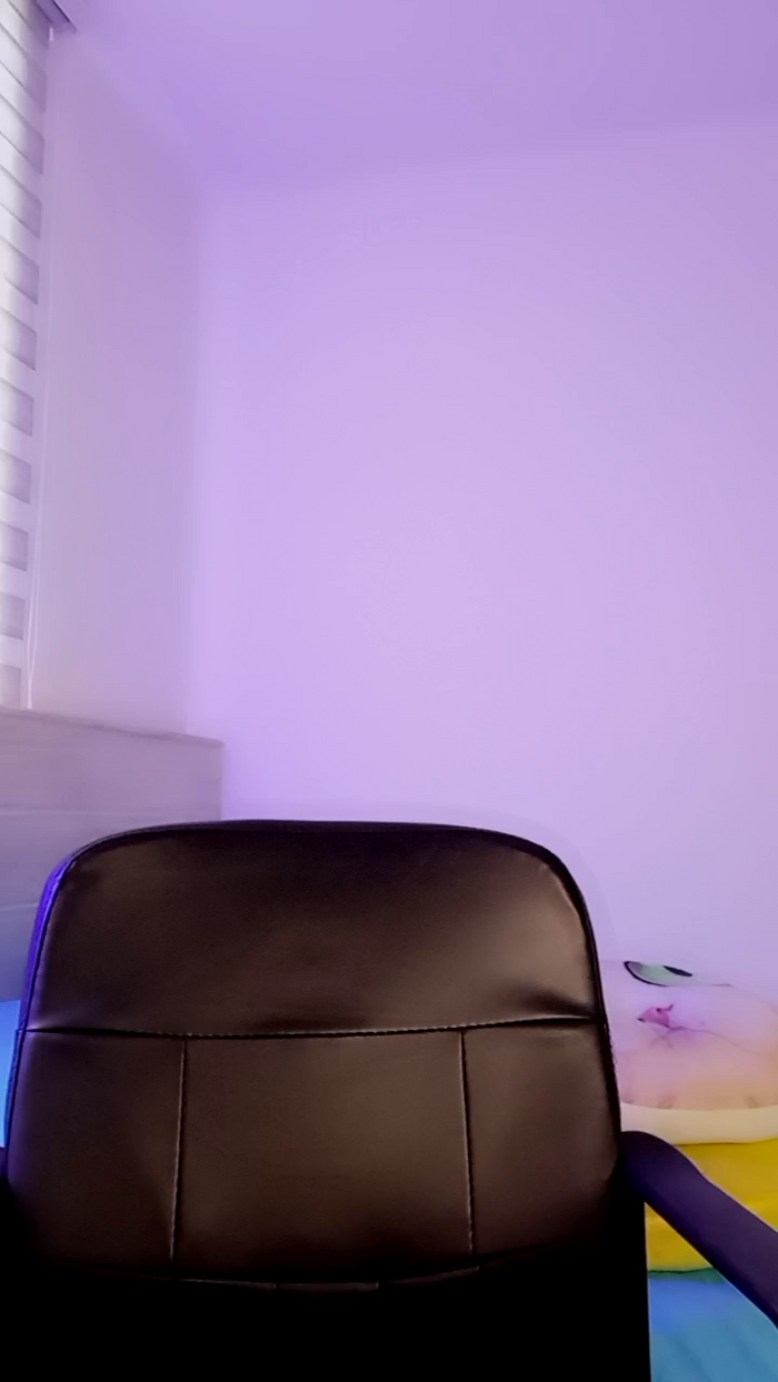 MonyCat_