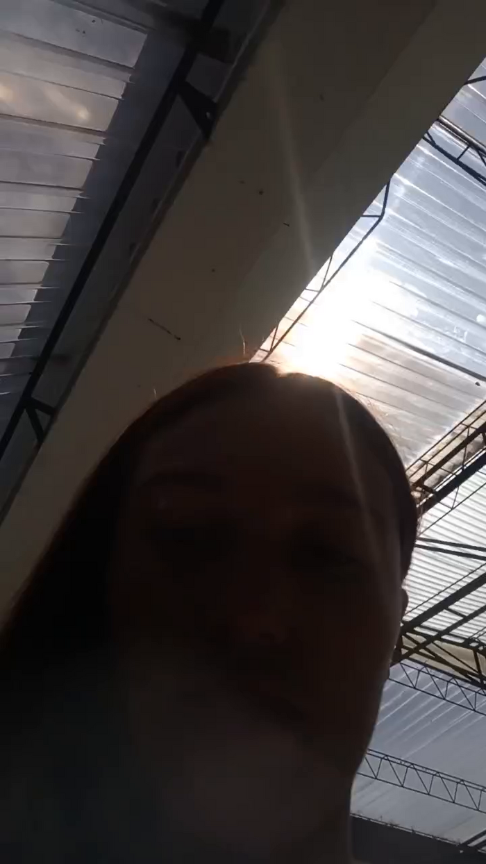 Isabelle_x