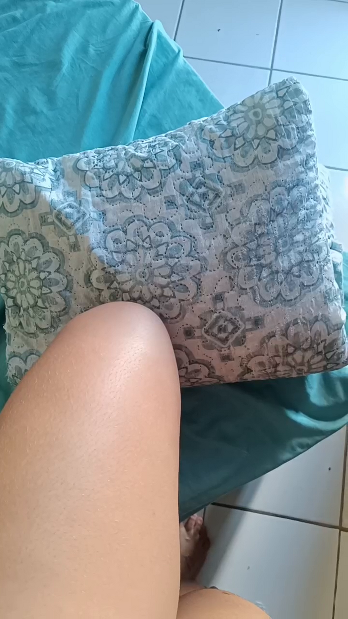 Bruninhasilva
