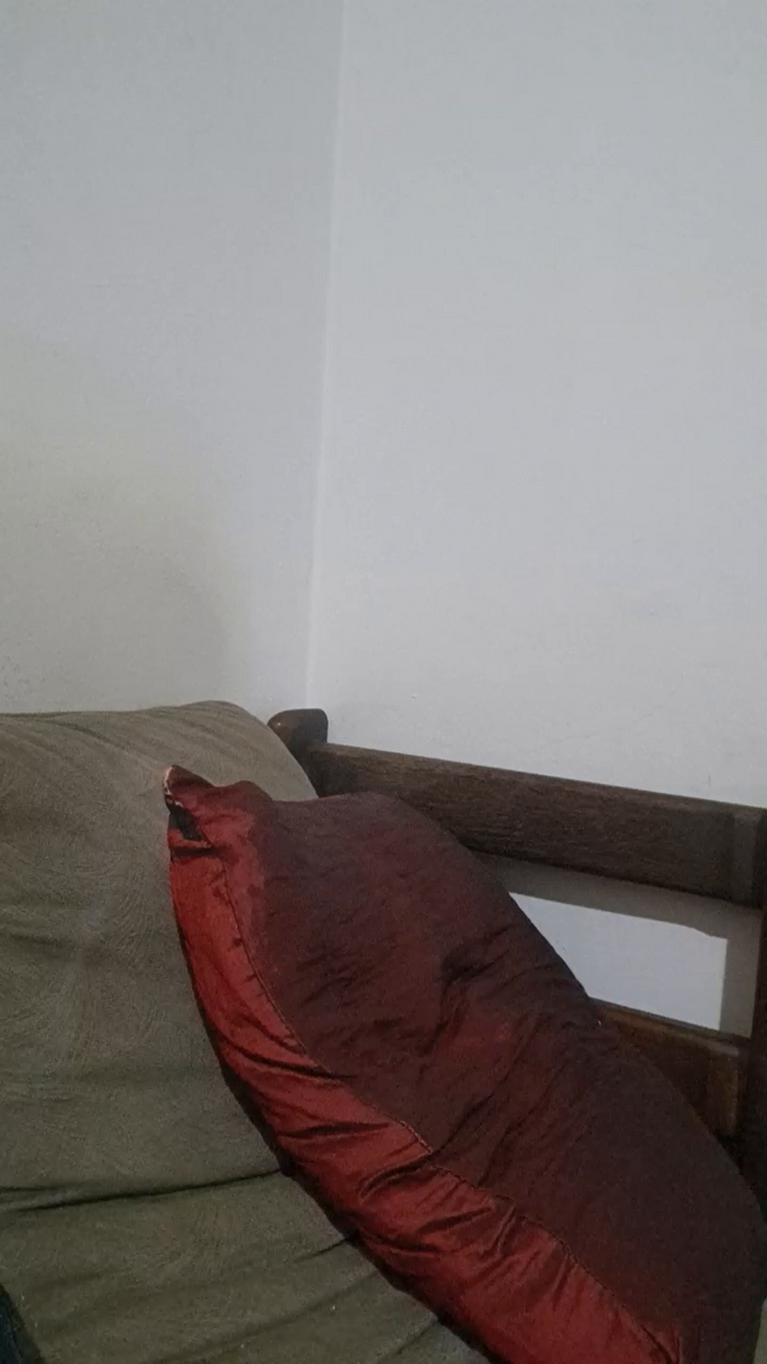 Leila_VI