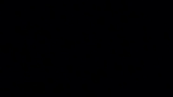 lauri_p