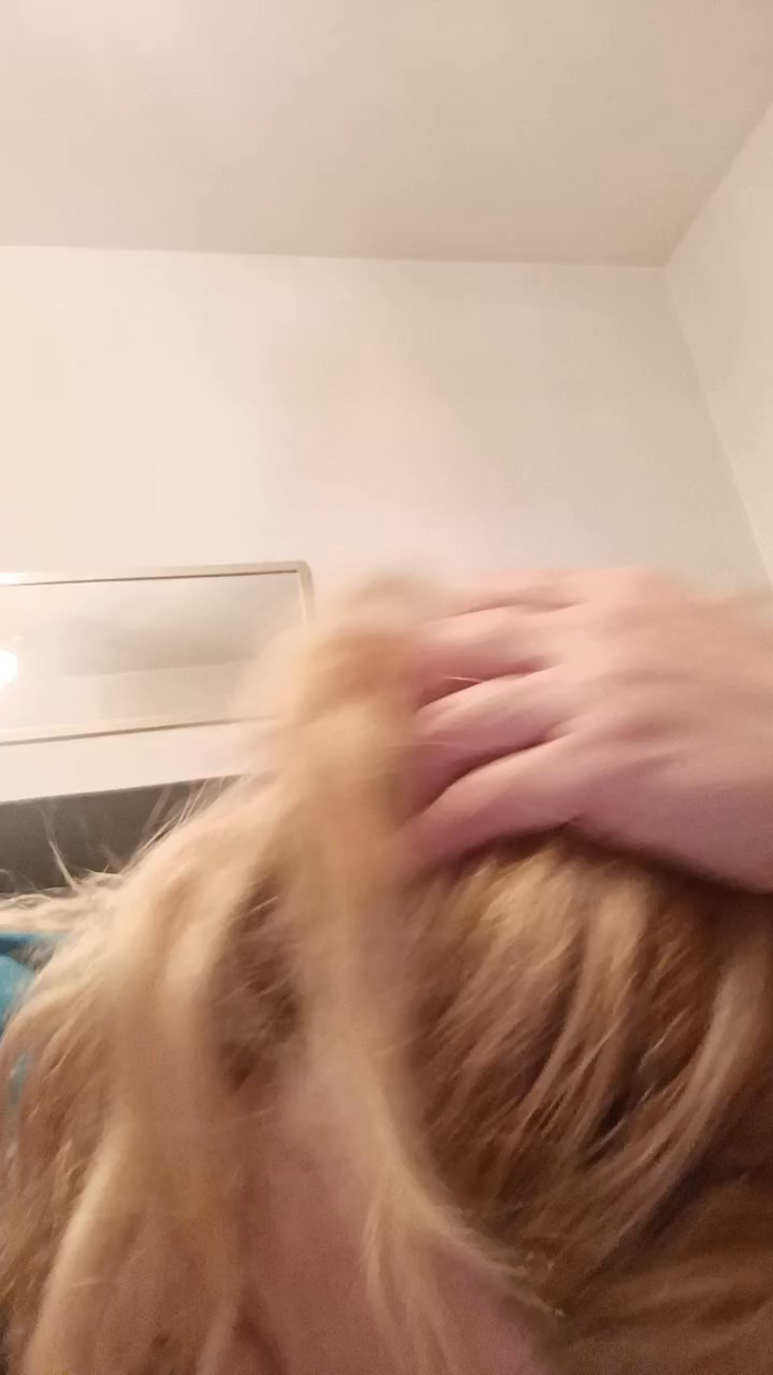 amazona69