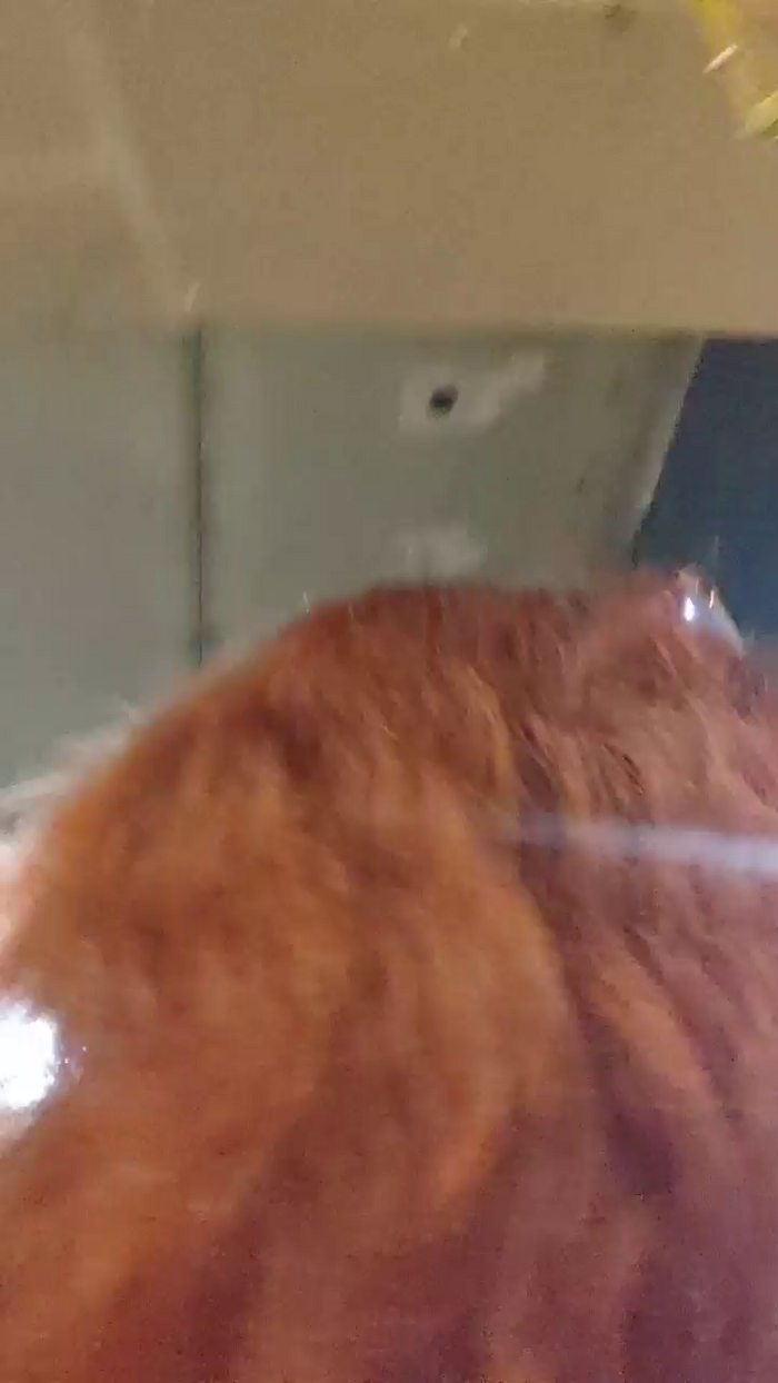AlejandritaMilf