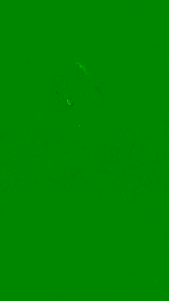 Felorenz