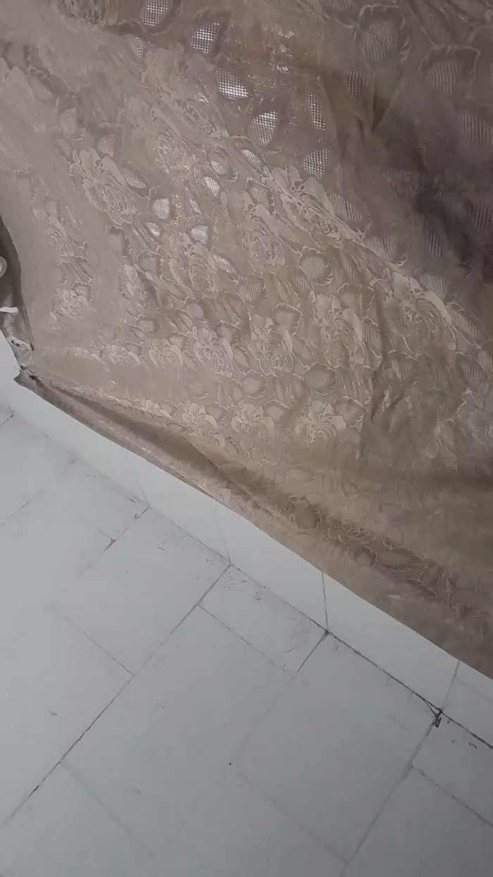 fadinha24