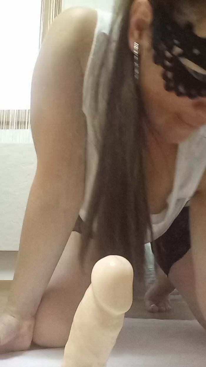swiss_bunny