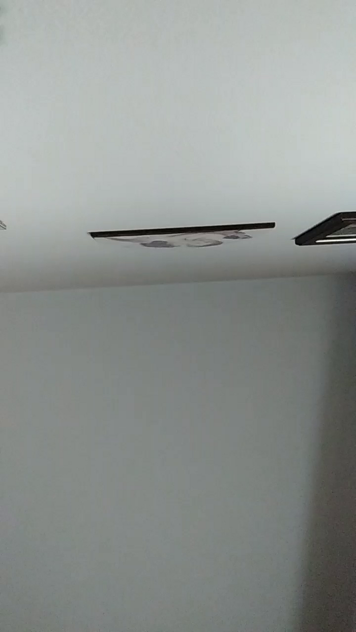 vogliadi6