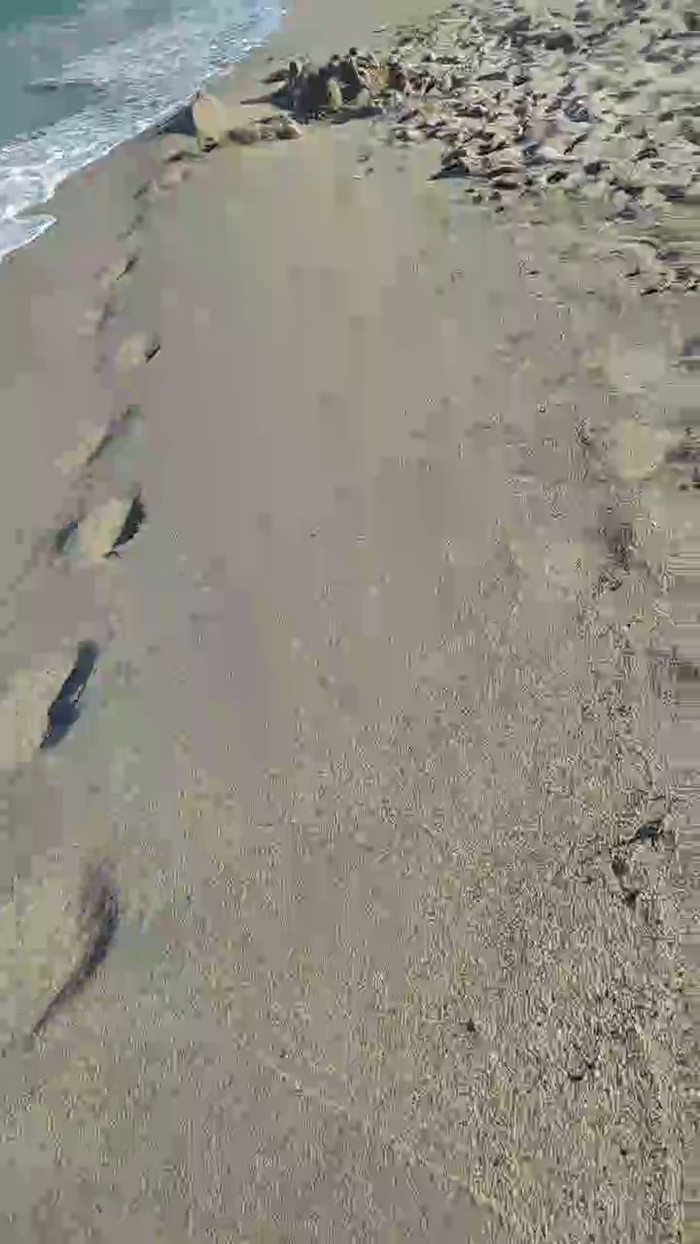 HuGo4K